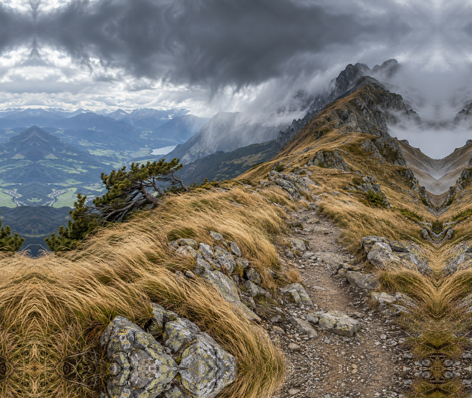Windexponierter felsiger Berggrat mit gebogenem Strauch und tiefen Wolken, Symbolbild